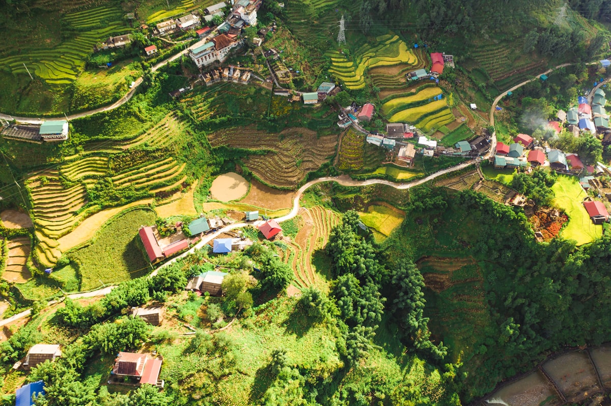 Vietnam travel costs 2026 — aerial view of lush rice terraces in northern Vietnam | tripbudgetcalculator.com